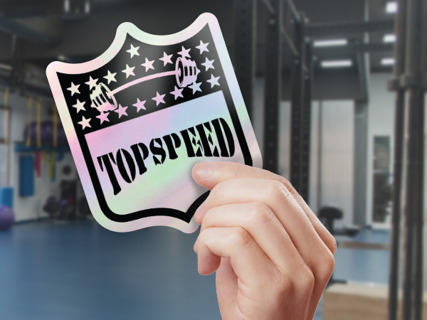 Holographic Stickers